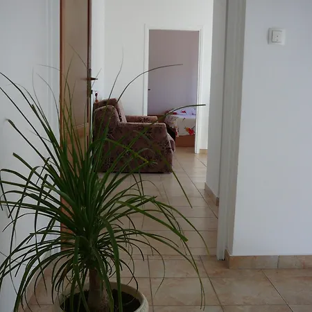 Perica Apartments Zadar Exterior photo